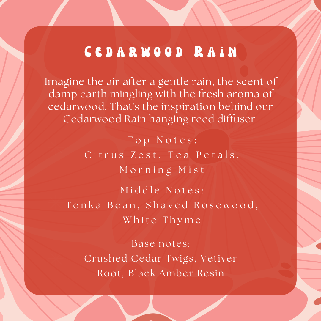Cedarwood Rain Hanging Reed DiffuserWebster Wax Company