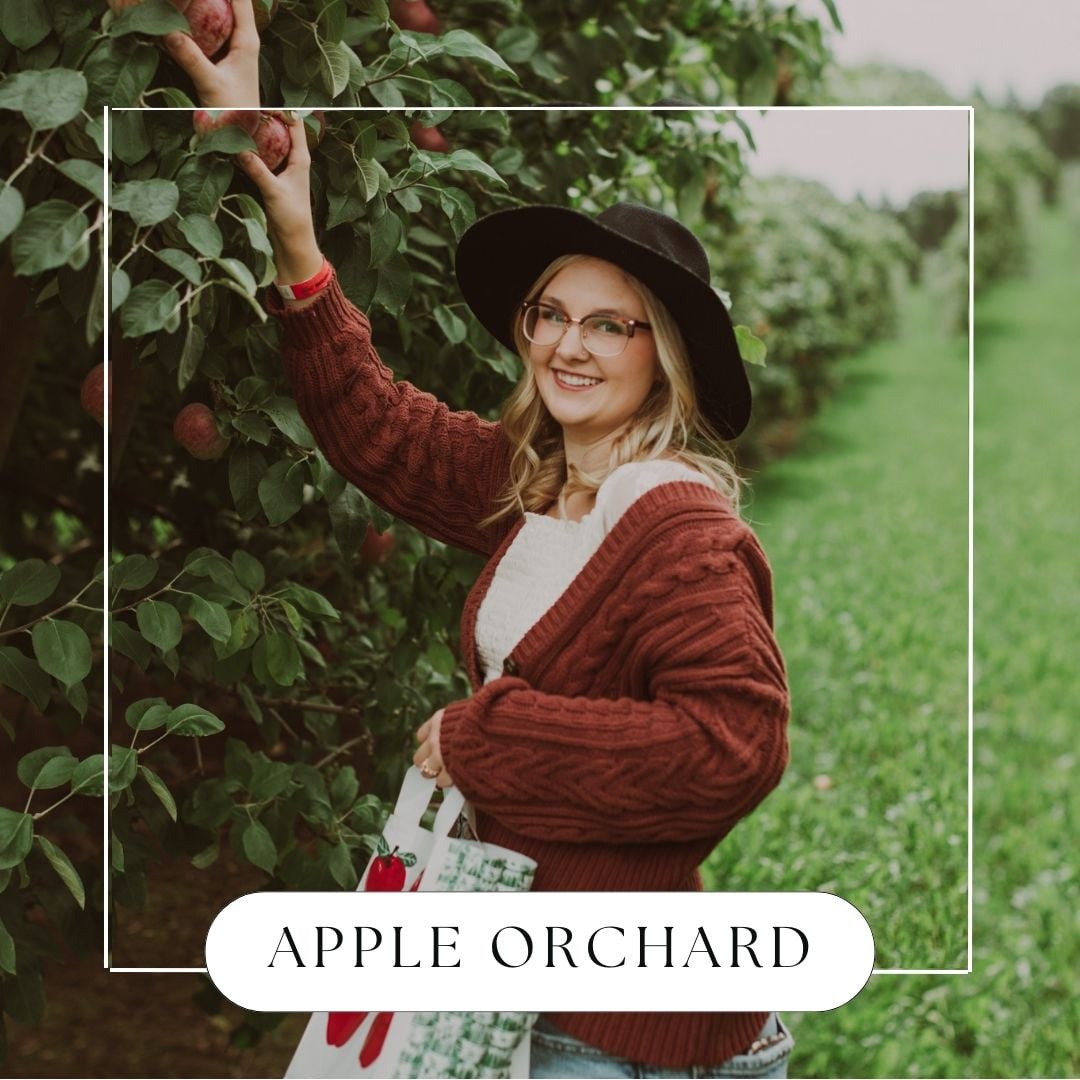 Apple Orchard Hanging Reed Diffuser