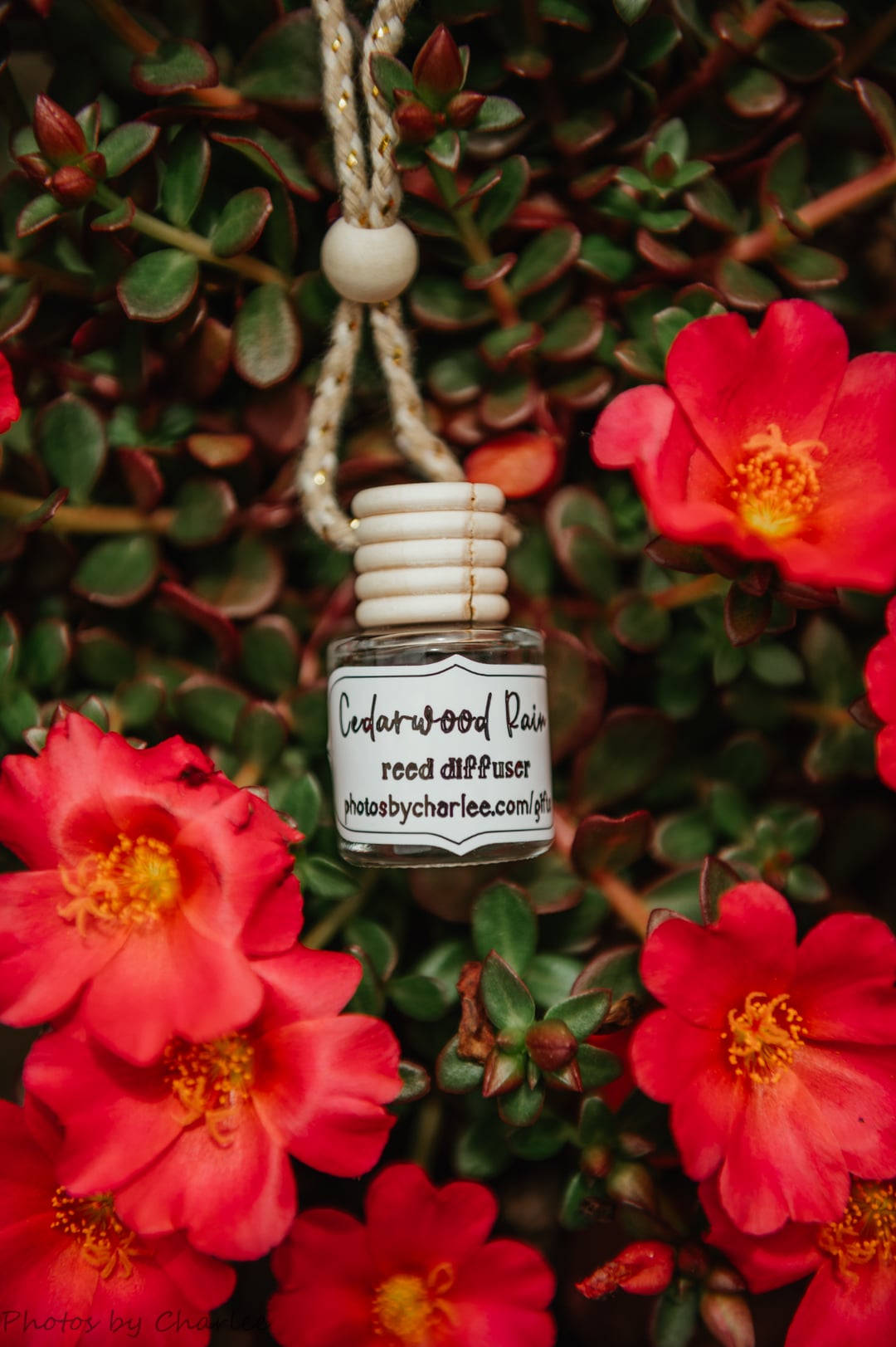 Cedarwood Rain Hanging Reed Diffuser