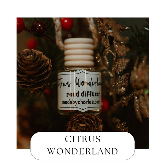 Citrus Wonderland Hanging Reed Diffuser