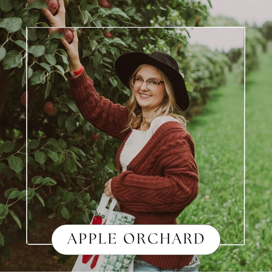 Apple Orchard Hanging Reed DiffuserWebster Wax Company