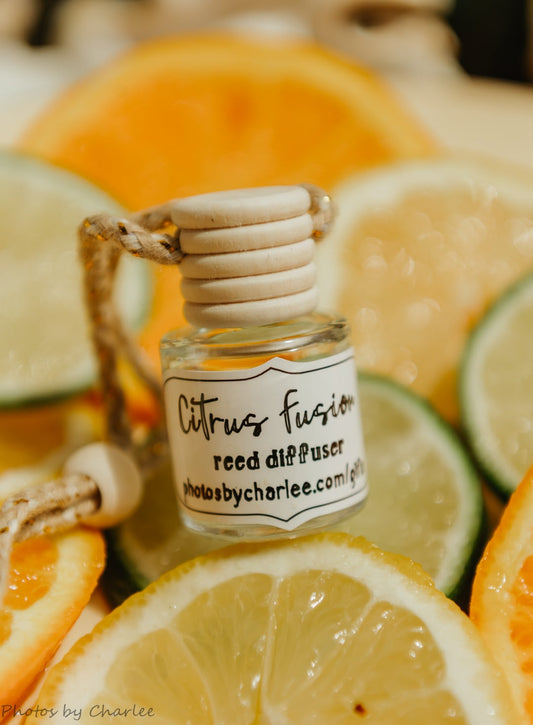 Citrus Fusion Hanging Reed DiffuserWebster Wax Company