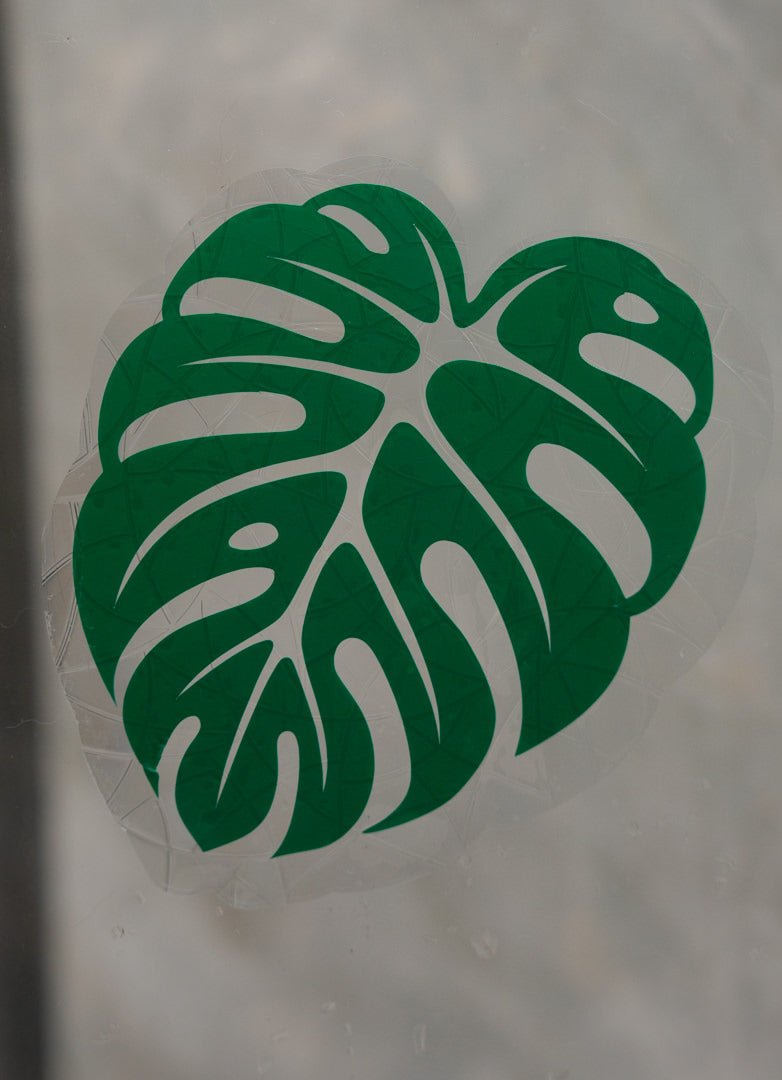 Monstera Suncatcher Window ClingWebster Wax Company