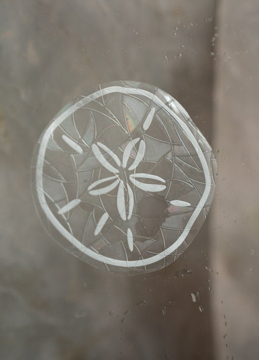 Sand Dollar Suncatcher Window Cling Design 2Webster Wax Company