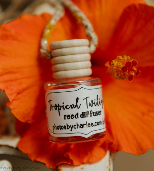 Tropical Twilight Hanging Reed DiffuserWebster Wax Company